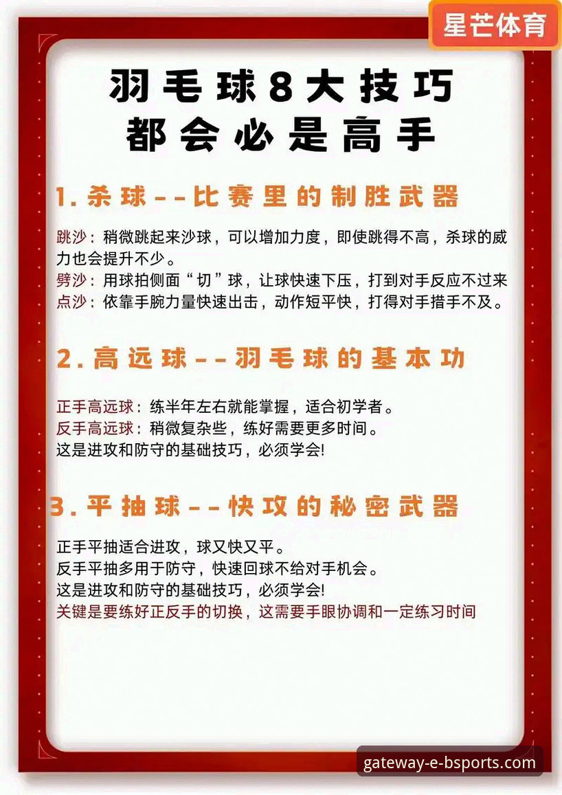 资深用户分享B体育官网精彩赛事使用技巧：从入门到精通的创新探索